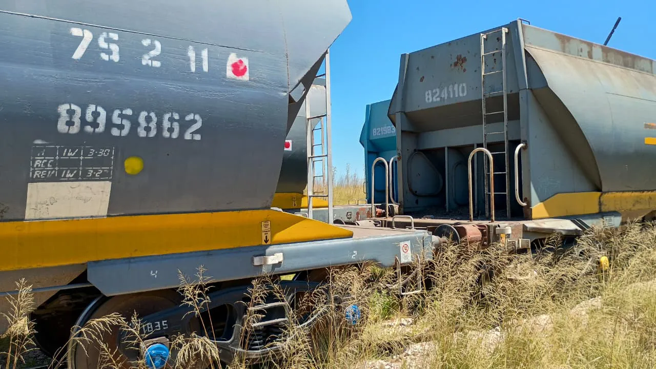 WhatsApp Image 2026-01-03 at 12.41.39 PM