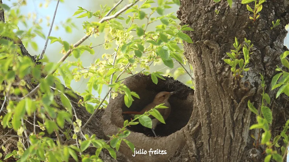 WhatsApp Image 2024-09-19 at 10.52.23 PM