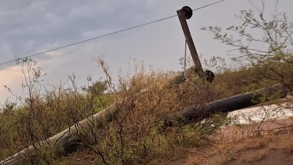 Copia de Copia de MPF Victorica (7)