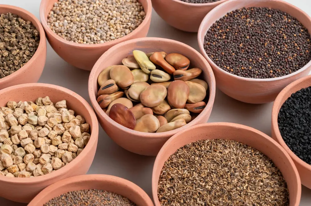 WhatsApp Image 2024-03-19 at 11.47.30 AM