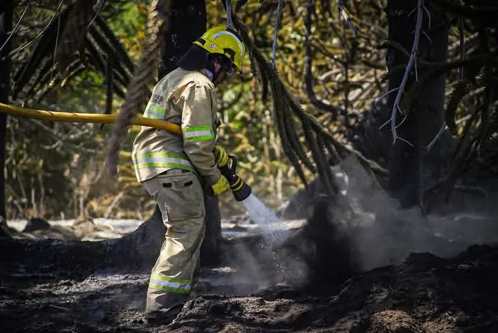 WhatsApp Image 2025-02-09 at 5.56.15 AM (1)