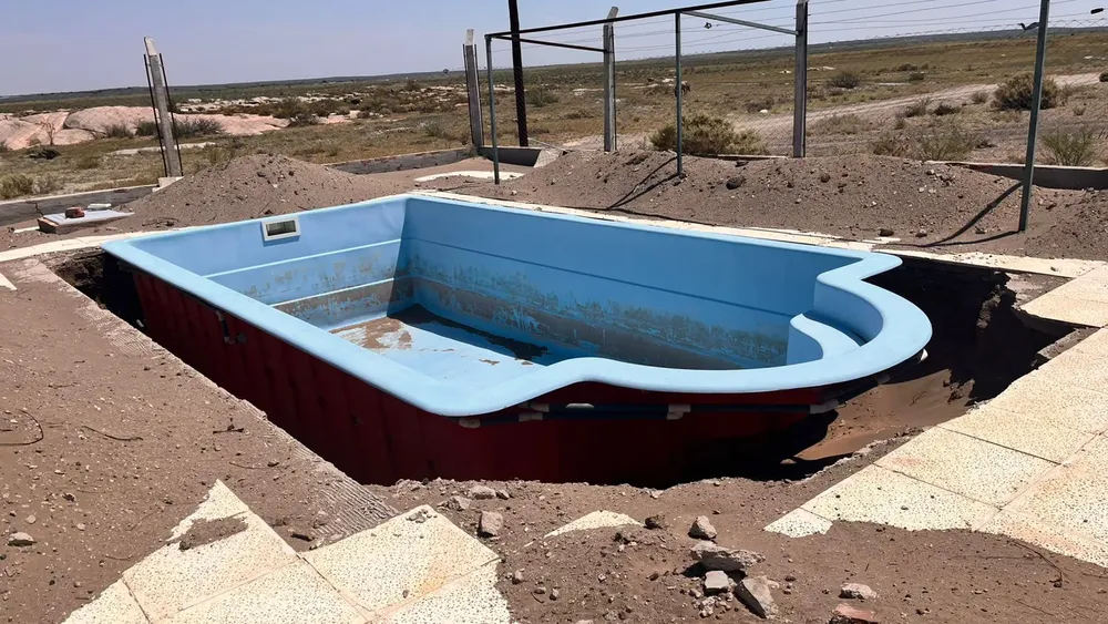 WhatsApp Image 2025-02-02 at 2.41.34 PM