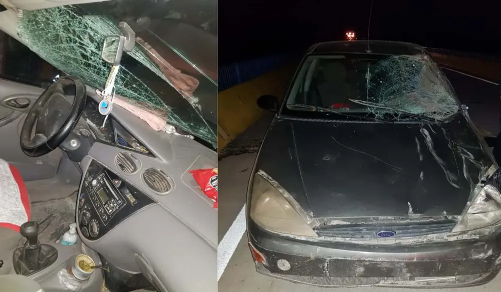 Sin título (1350 x 1080 px) (1350 x 1080 px) (1550 x 1080 px) (1850 x 1080 px) (5)