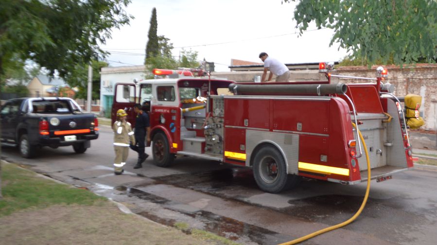 bomberroossvectt