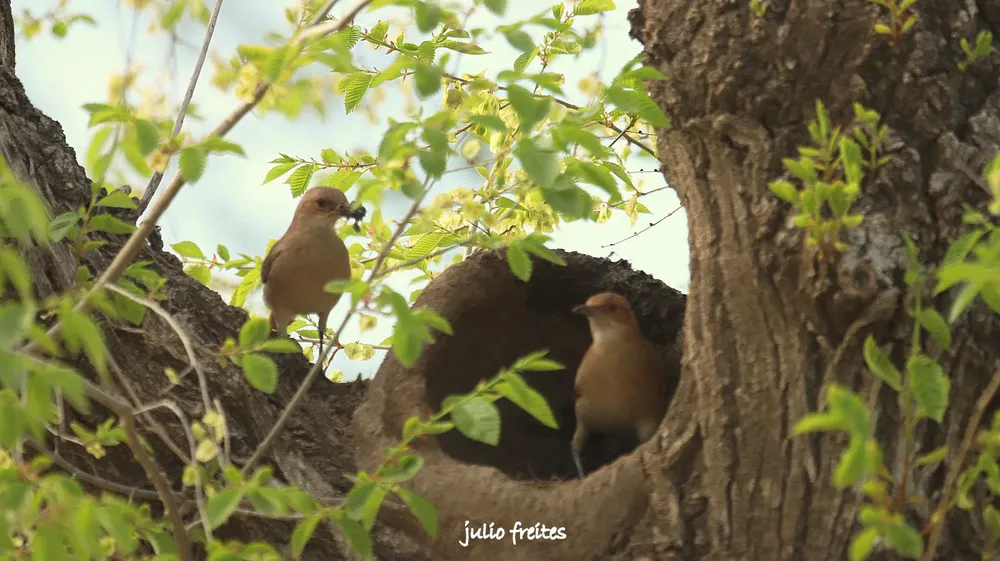 WhatsApp Image 2024-09-19 at 10.52.23 PM (1)