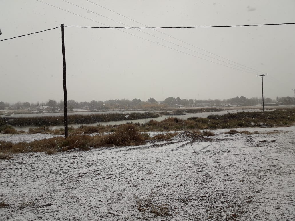 WhatsApp Image 2018-06-11 at 13.27.54