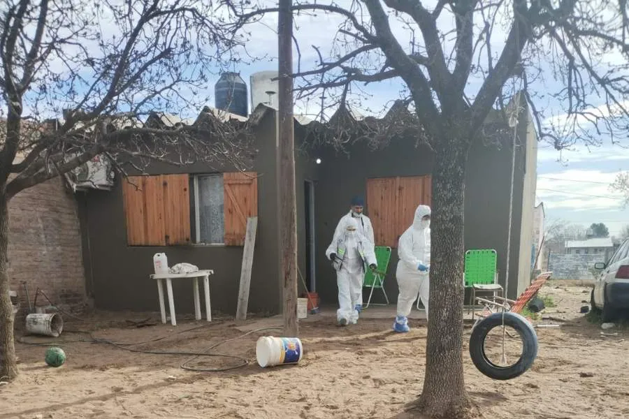 Copia de Copia de Copia de Copia de Copia de video audio algarrobo (Post de Instagram (45)) (10)