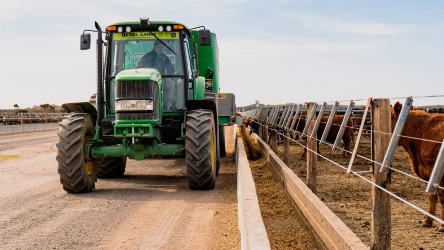 tractorcampoddd