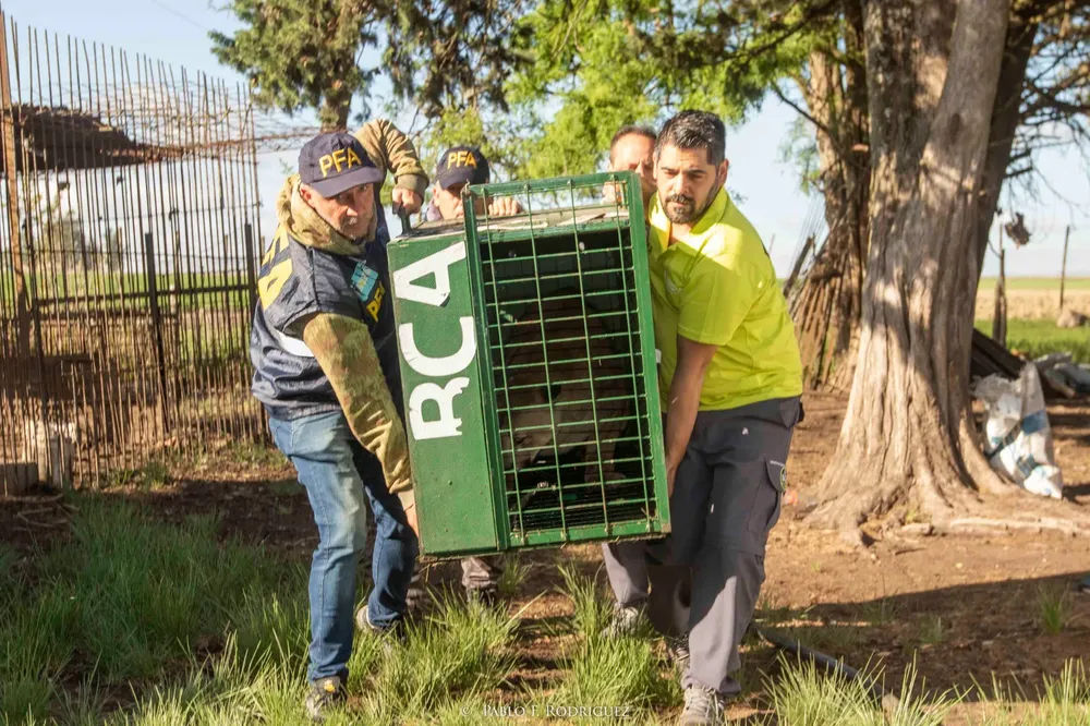 WhatsApp Image 2024-11-21 at 3.10.10 PM