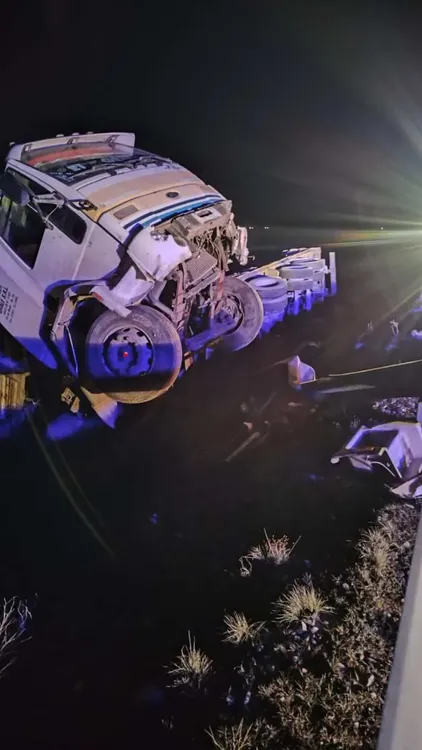 Copia de Copia de Copia de Copia de Copia de Copia de Copia de Copia de Copia de Copia de Green and Yellow Modern Grocery Discount Catalog Flyer (1080 x 1920 px) (1)