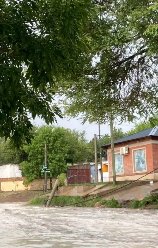 WhatsApp Image 2026-01-21 at 8.09.20 PM