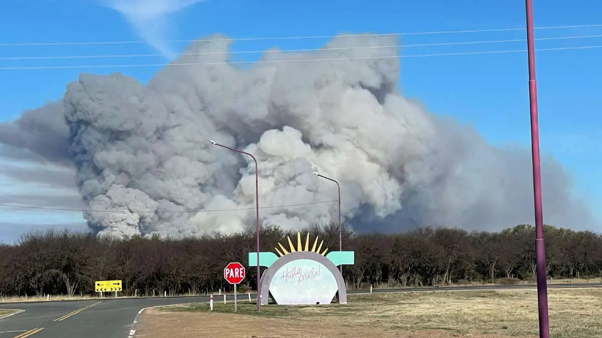 Presentación1.pptx (3)