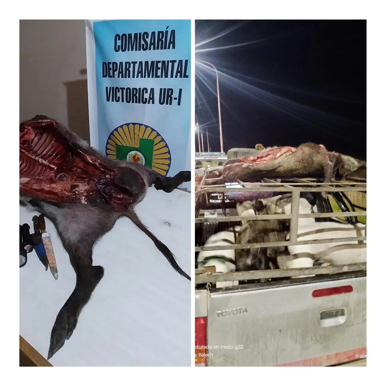 WhatsApp Image 2024-04-12 at 12.55.11