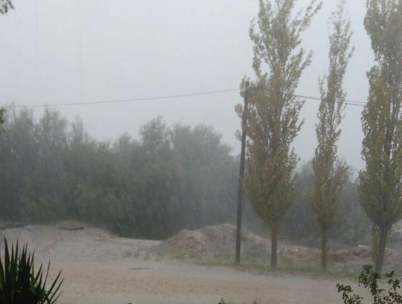 algarrobtorm