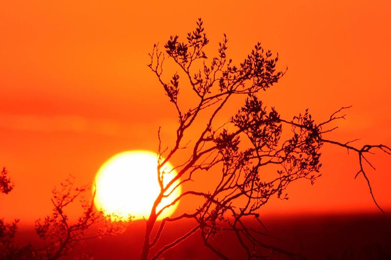 lahumadfoto