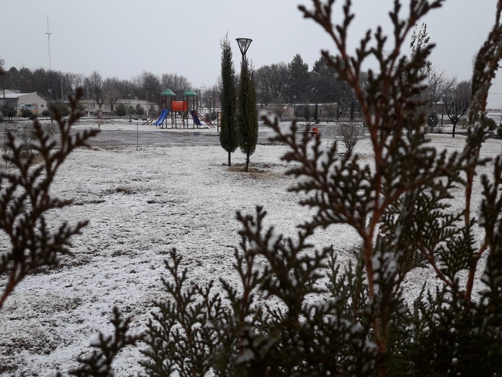 WhatsApp Image 2018-06-11 at 13.27.57