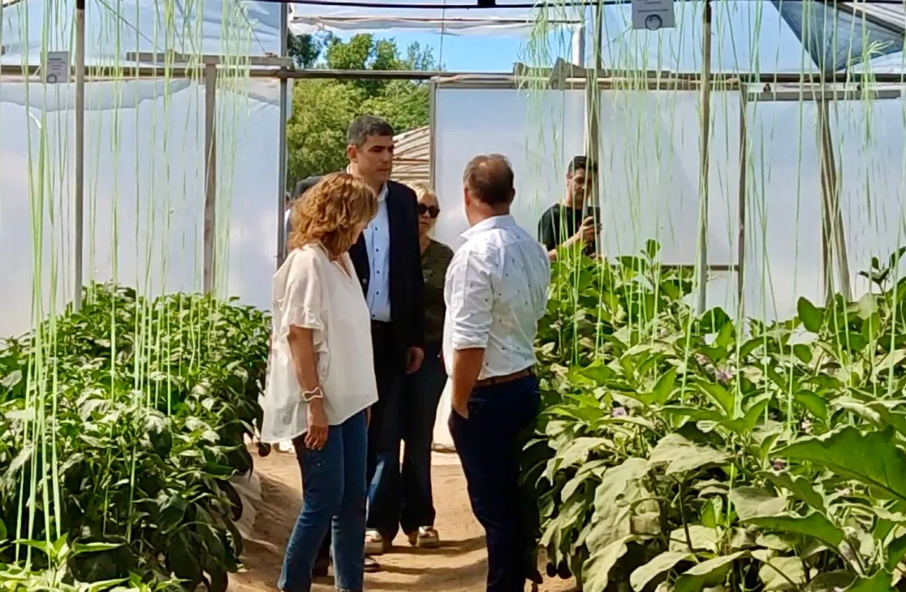 WhatsApp Image 2024-11-30 at 6.16.16 PM