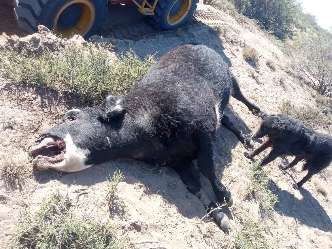 WhatsApp Image 2024-09-15 at 6.39.15 PM