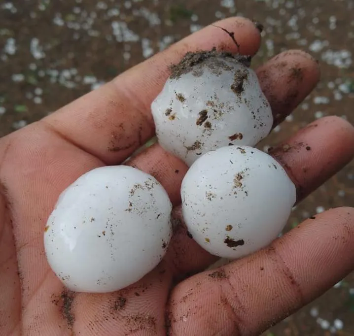 WhatsApp Image 2026-01-23 at 6.44.48 PM