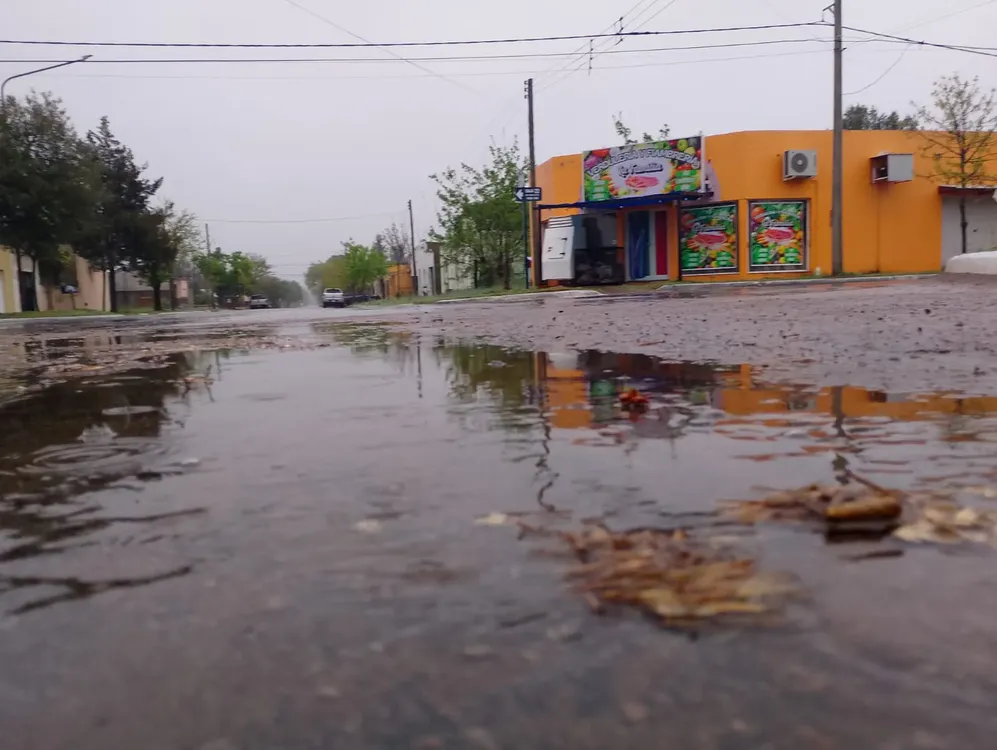 WhatsApp Image 2025-09-20 at 8.28.21 AM (1)