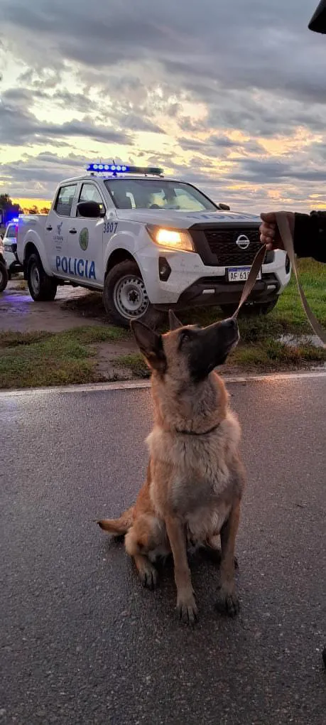 WhatsApp Image 2025-10-24 at 1.52.26 PM