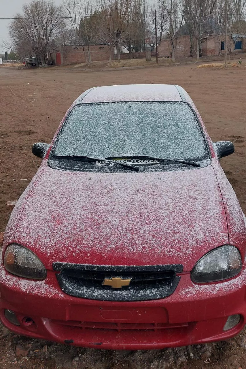 WhatsApp Image 2022-06-21 at 11.04.14 AM