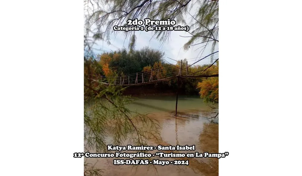 Copia de ENZO infog caso RODRIGUEZ (4)