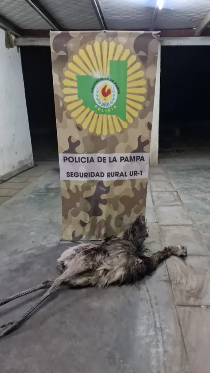 WhatsApp Image 2025-12-19 at 9.26.42 AM