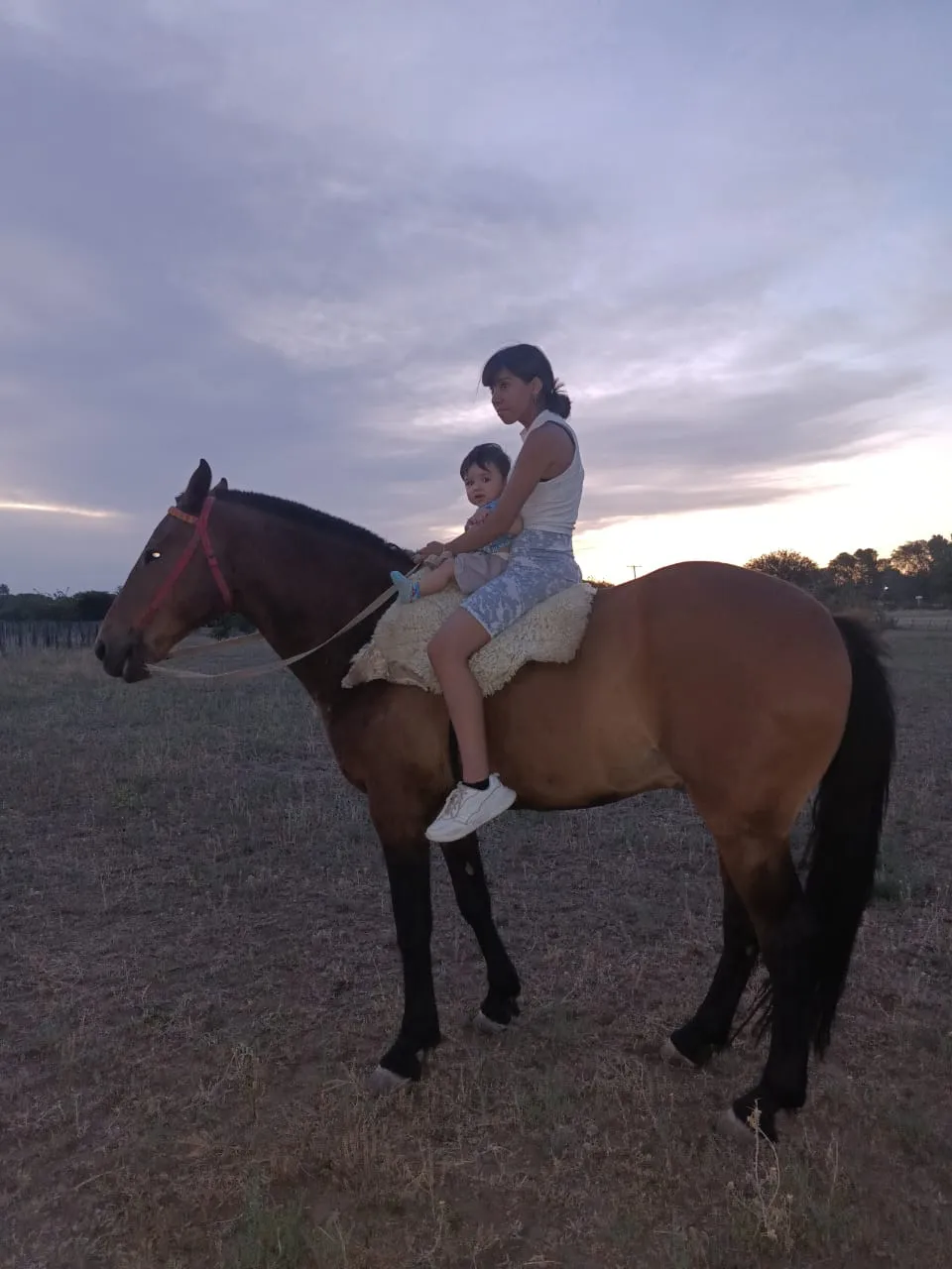 WhatsApp Image 2025-09-30 at 9.55.24 PM (2)