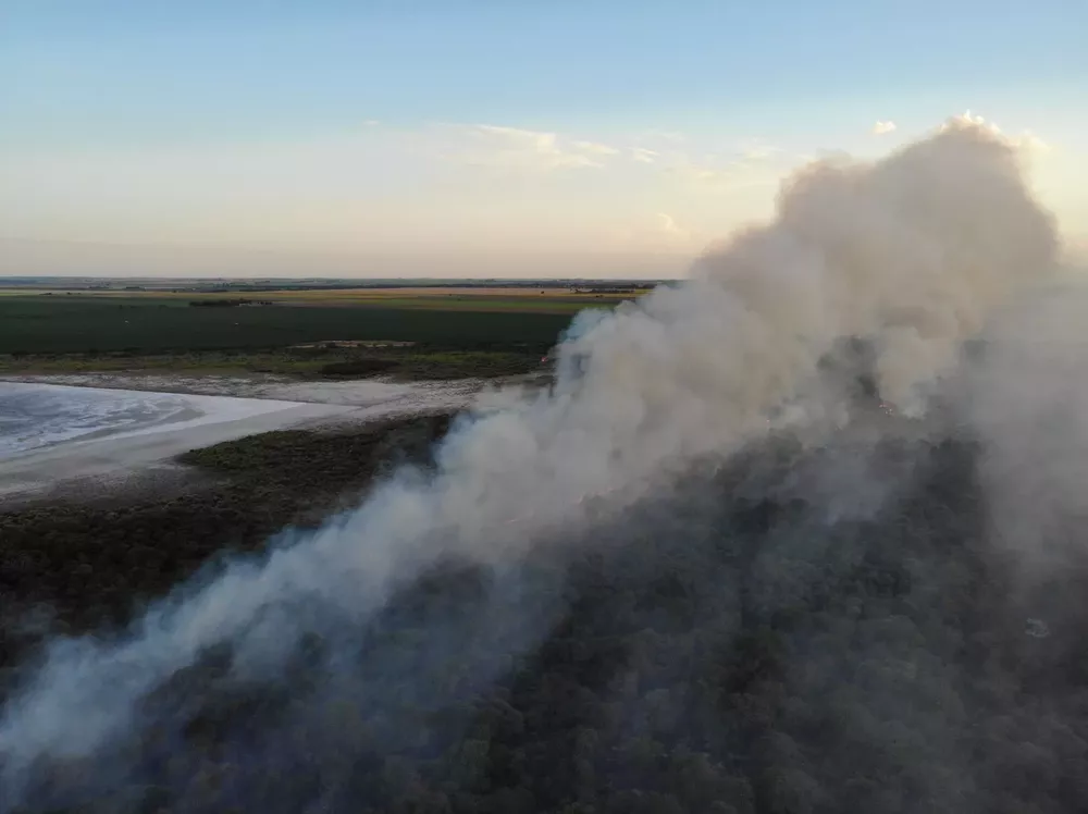 WhatsApp Image 2022-01-15 at 6.43.33 PM