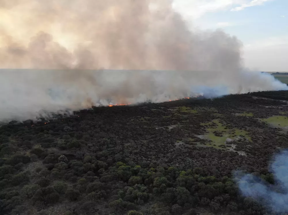 WhatsApp Image 2022-01-15 at 6.43.33 PM (1)