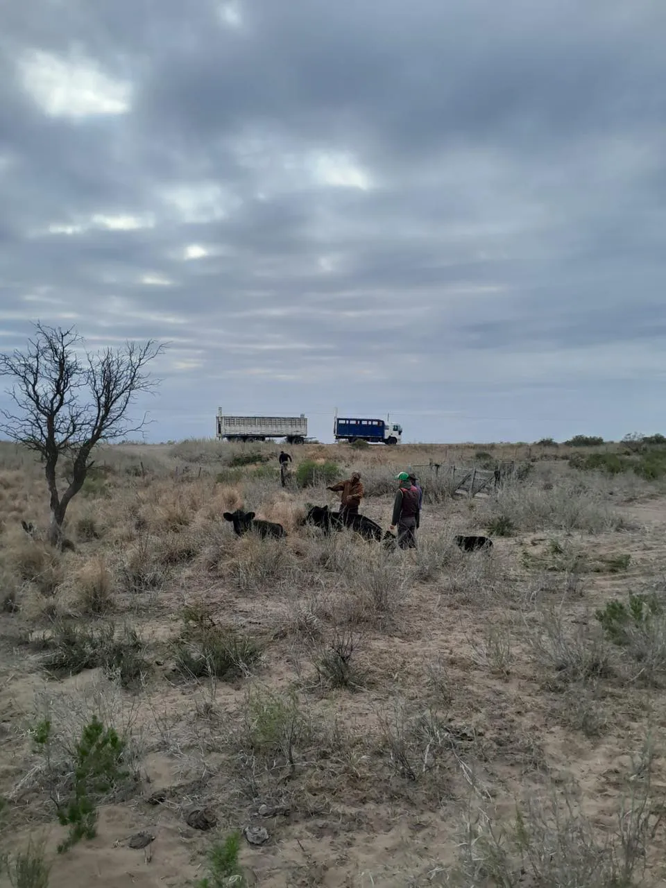 WhatsApp Image 2025-08-20 at 8.38.33 PM