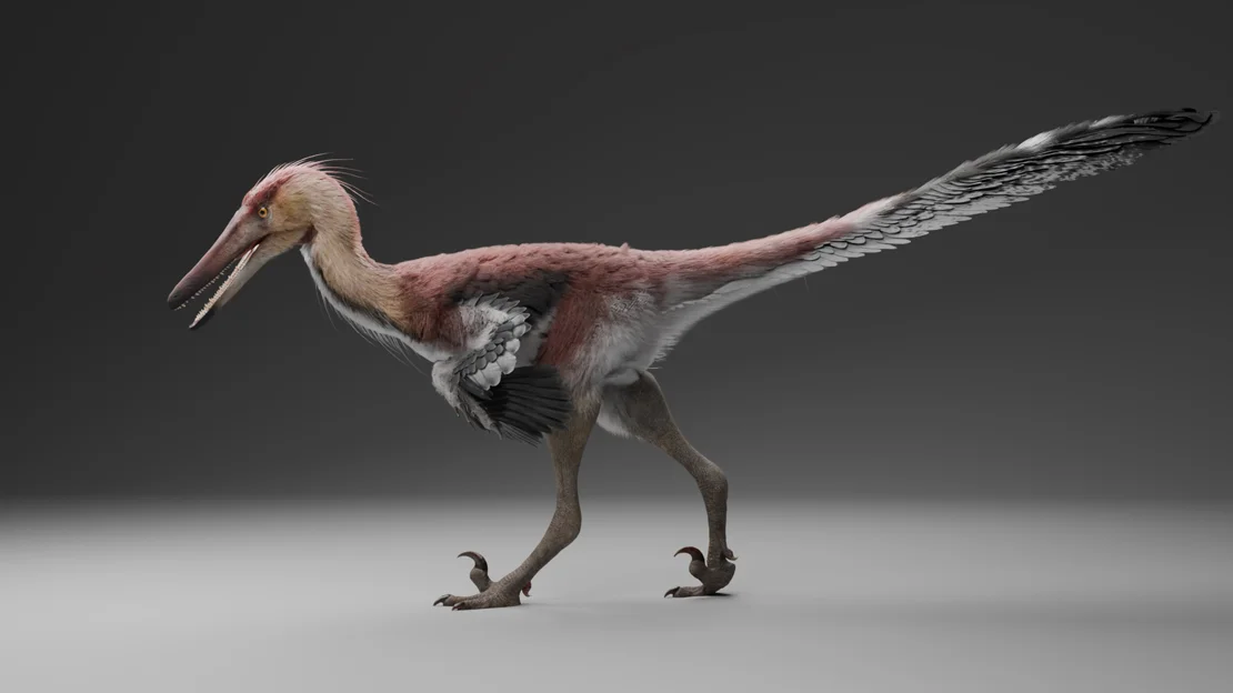 Portada-Raptor