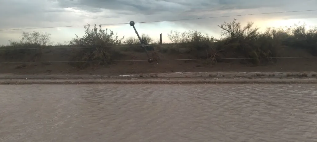 WhatsApp Image 2024-02-10 at 10.55.22 PM (2)