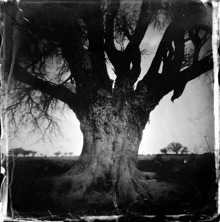 WhatsApp Image 2025-12-02 at 6.49.12 PM