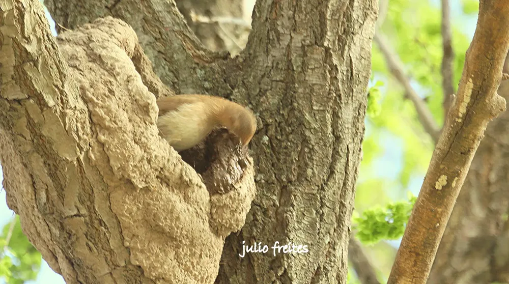 WhatsApp Image 2024-09-19 at 10.54.48 PM (2)