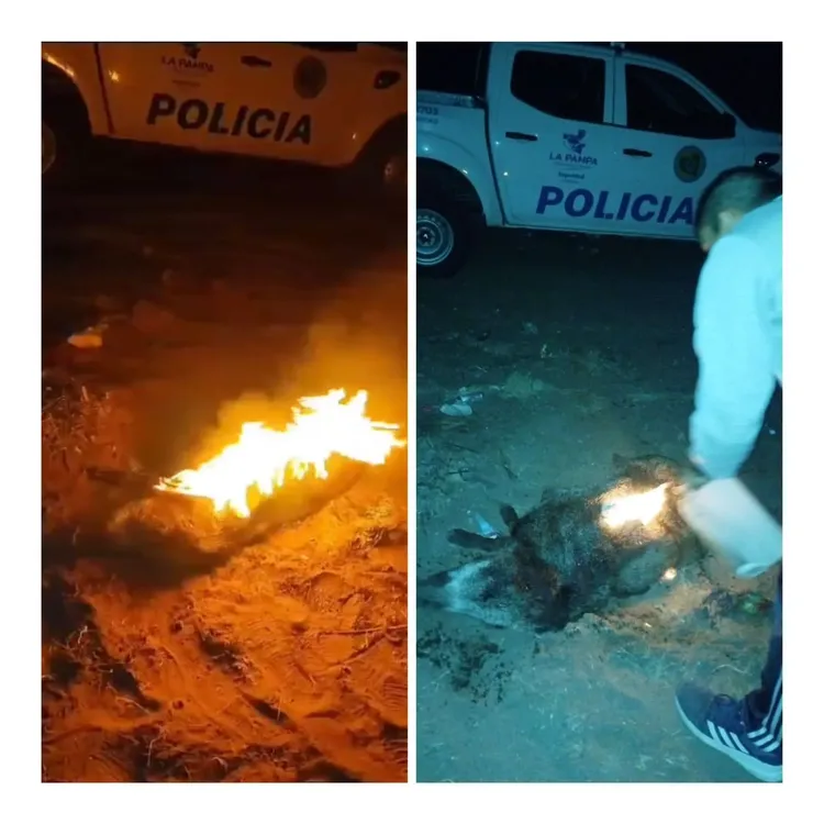 WhatsApp Image 2024-04-12 at 12.55.12