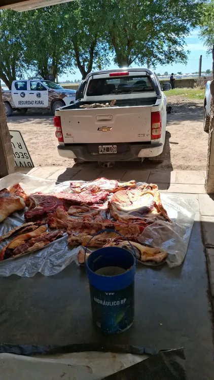 WhatsApp Image 2025-11-25 at 9.51.16 AM