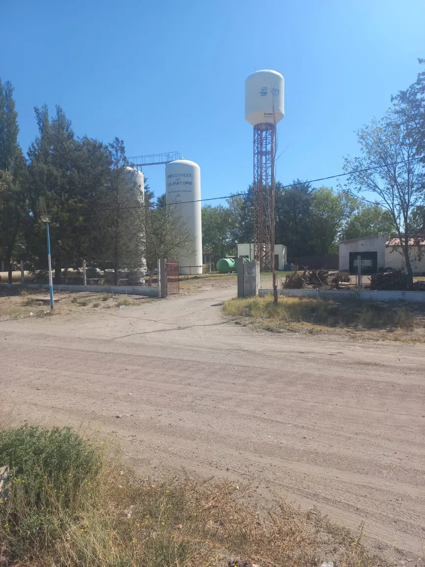 WhatsApp Image 2025-02-20 at 1.01.26 PM (1)