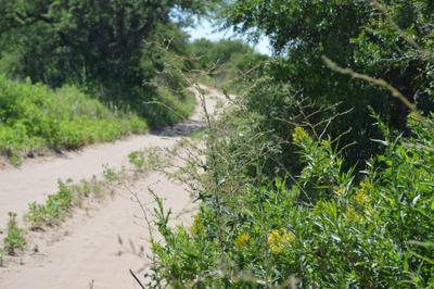 multimedia.miniatura.bbf205545dd9bbd9.647572617a62625f6d696e6961747572612e6a7067