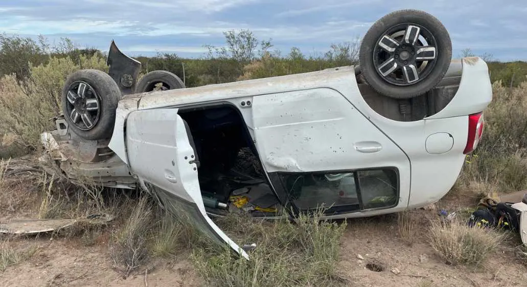 WEB1 (1650 x 900 px) (5)