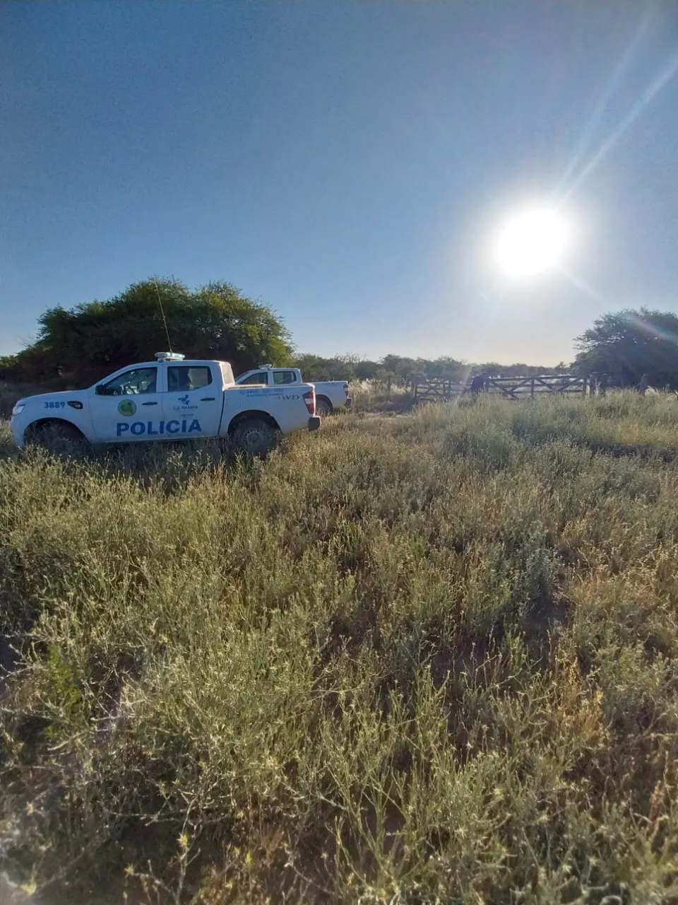 WhatsApp Image 2025-11-25 at 9.51.15 AM (1)