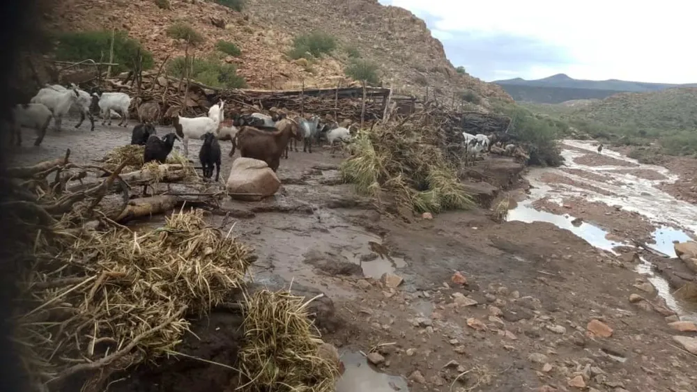 Copia de Sin título (11)