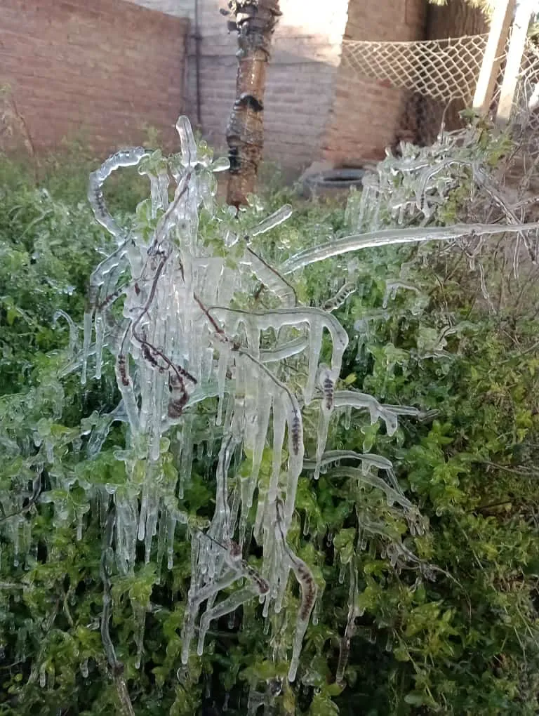 WhatsApp Image 2024-05-02 at 9.31.22 AM