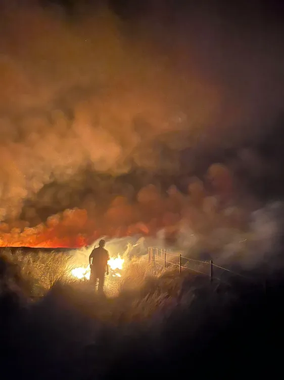 WhatsApp Image 2025-11-25 at 2.02.47 PM