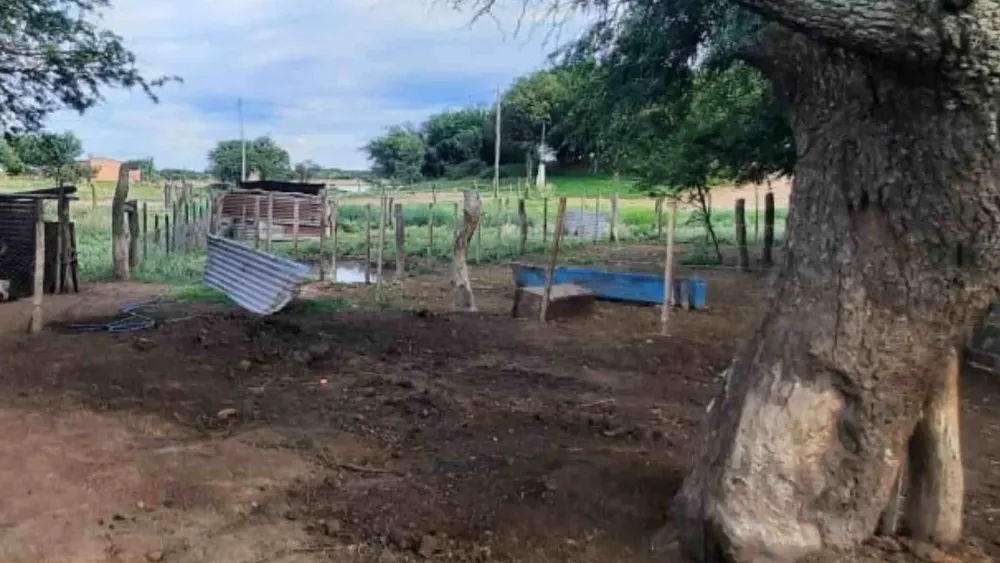 Copia de MPF Victorica (7)