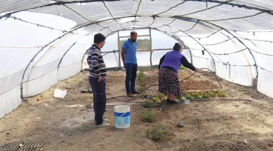 lahumadaaaahuertaadd