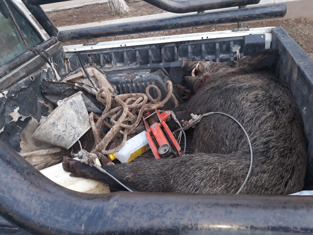 WhatsApp Image 2018-06-12 at 19.17.58