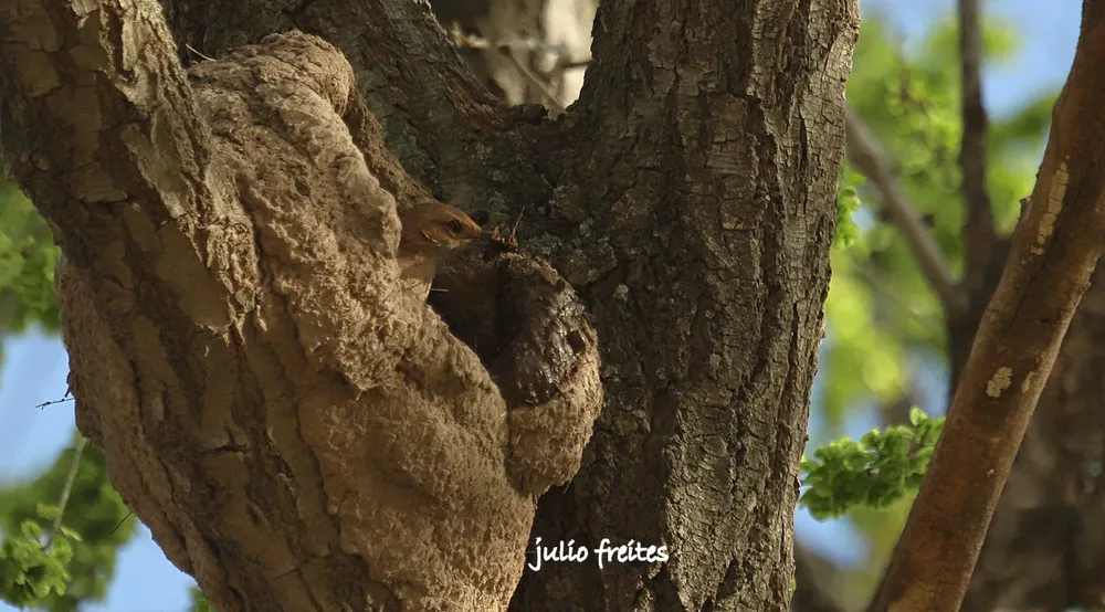 WhatsApp Image 2024-09-19 at 10.54.48 PM (1)