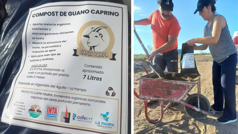 Copia de Sin título (29)